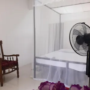 Проживание в семье T & U, Катунаяка